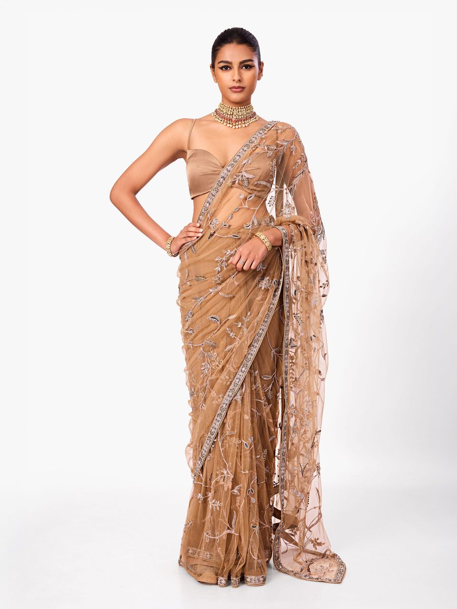A tan net saree with an embroidered border